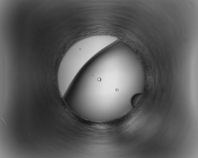 X0000089360654200706150824