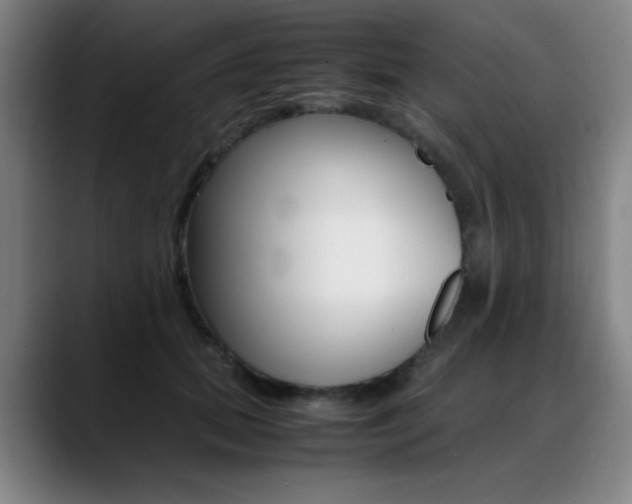 X0000089360655200706150824