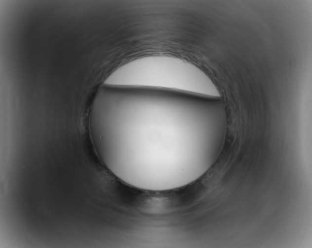 X0000089360658200706150824