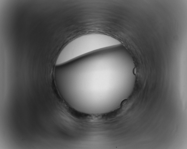 X0000089360660200706150824