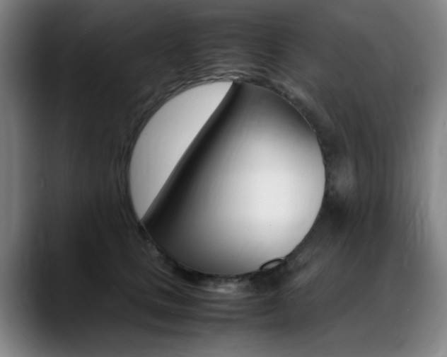 X0000089360661200706150824