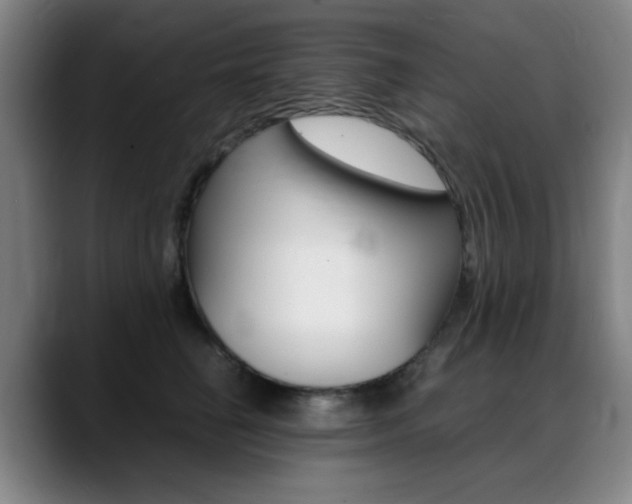 X0000089360662200706150824