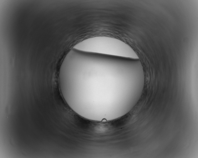 X0000089360663200706150824