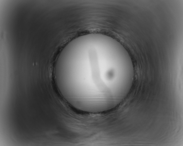 X0000089360664200706150824