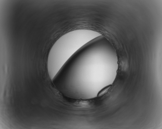 X0000089360665200706150824