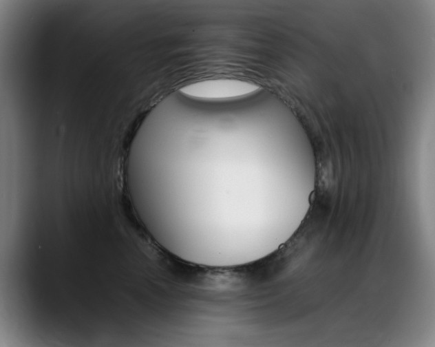 X0000089360666200706150824
