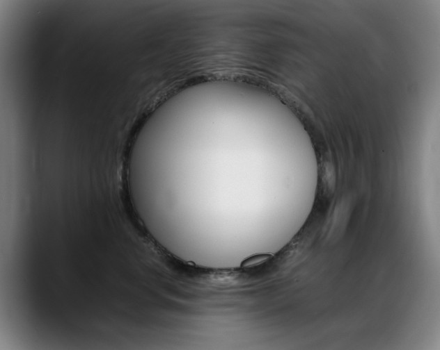 X0000089360668200706150824