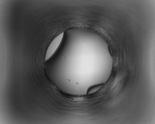 X0000089360669200706150824