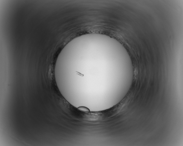 X0000089360671200706150824
