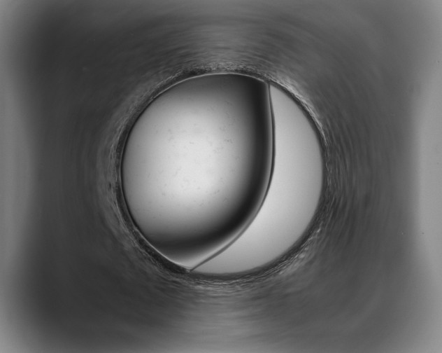 X0000089360673200706150824