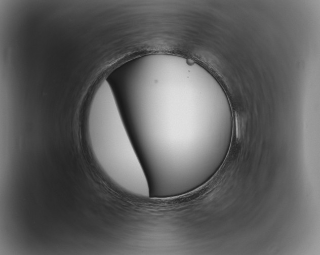 X0000089360675200706150824
