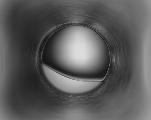 X0000089360676200706150824