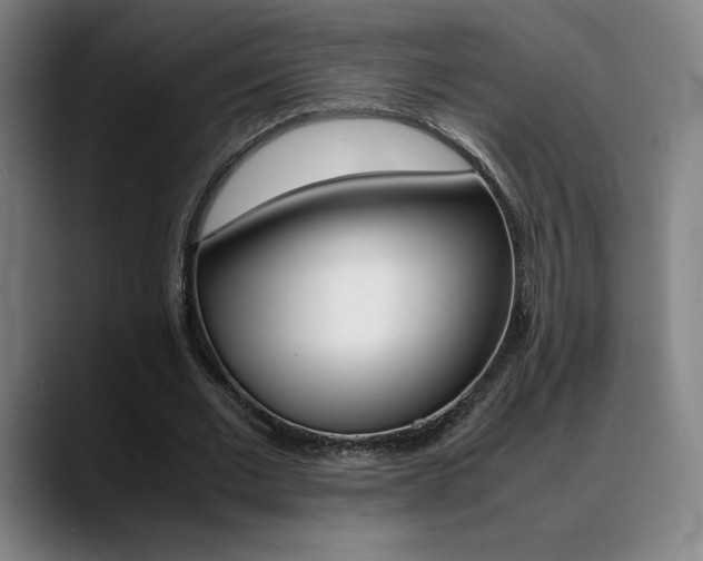 X0000089360677200706150824