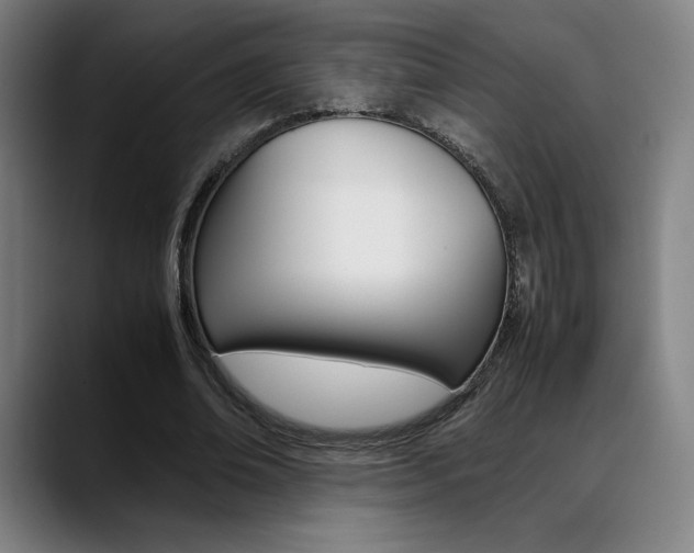 X0000089360678200706150824