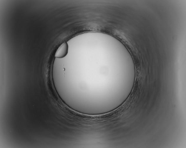 X0000089360679200706150824