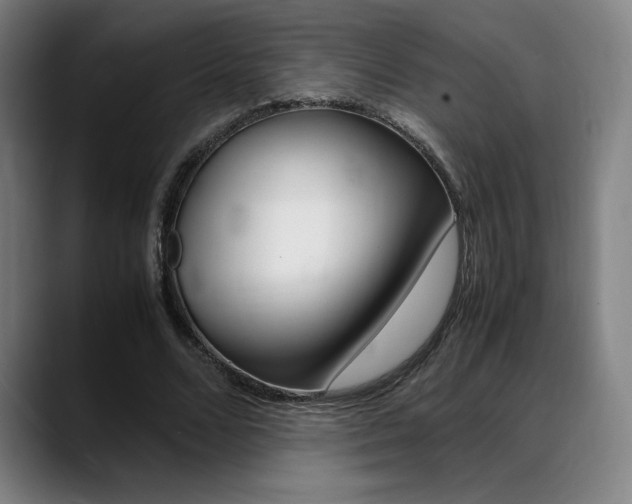X0000089360680200706150823