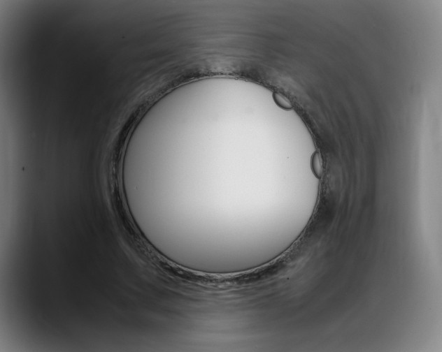 X0000089360683200706150823