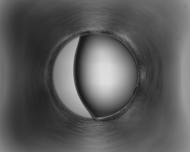 X0000089360684200706150823