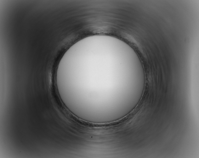 X0000089360686200706150823