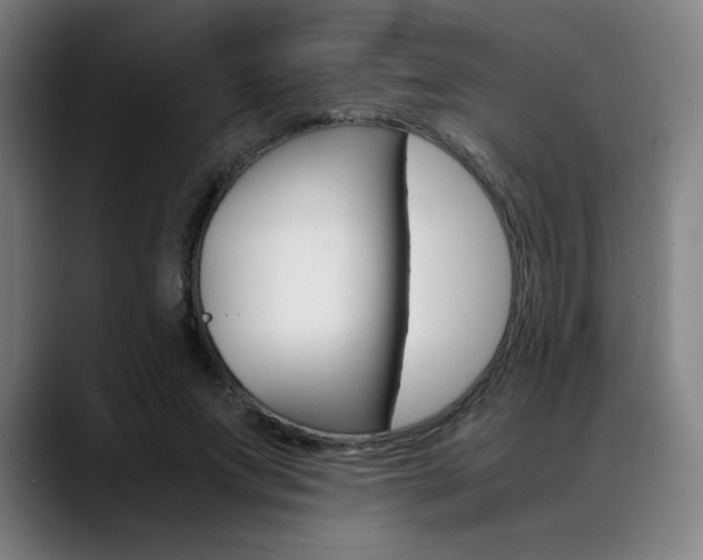X0000089360687200706150823