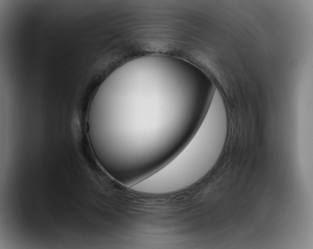 X0000089360688200706150823