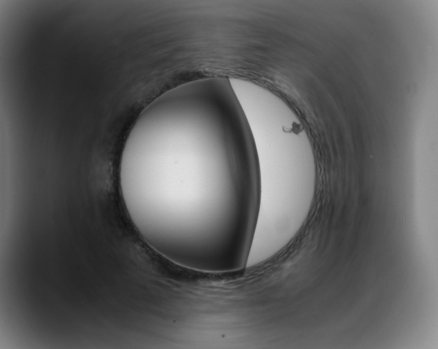 X0000089360689200706150823
