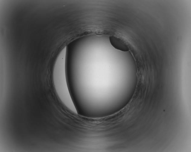 X0000089360692200706150823