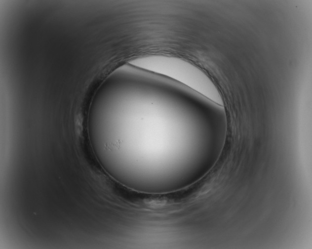 X0000089360693200706150823