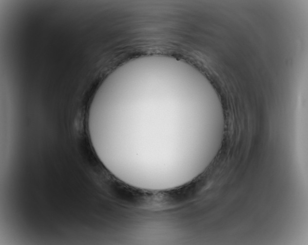 X0000089360695200706150823