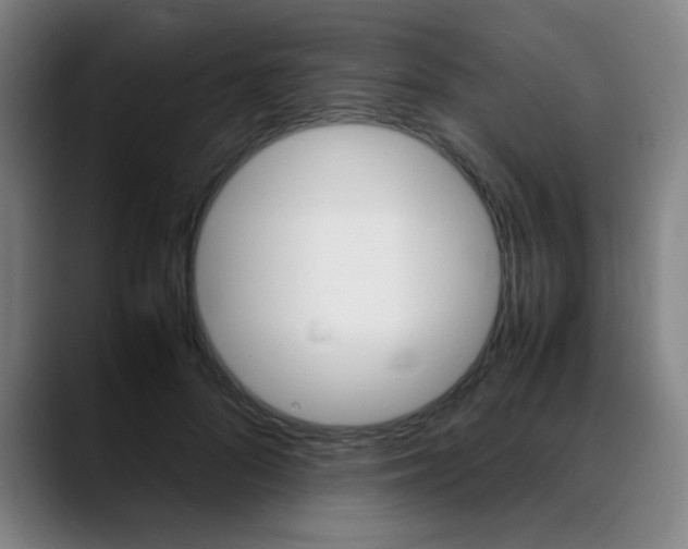 X0000089360696200706150823