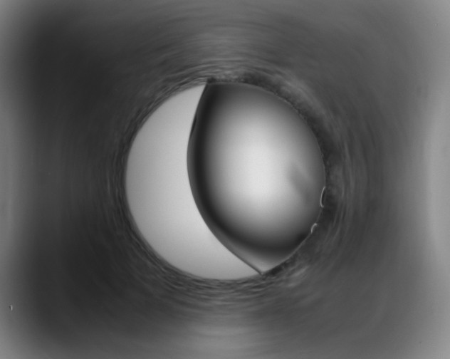 X0000089360697200706150823