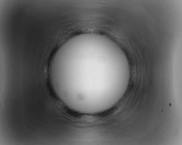 X0000089360699200706150823