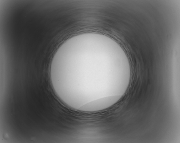 X0000089360701200706150823