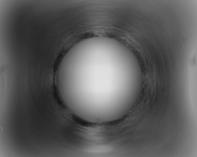 X0000089360702200706150823