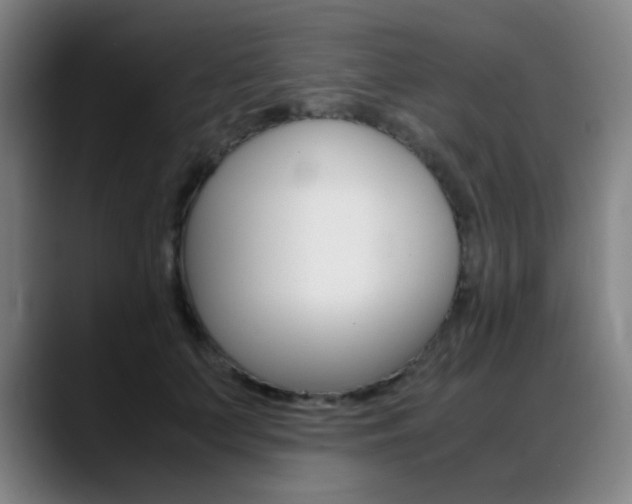 X0000089360703200706150823