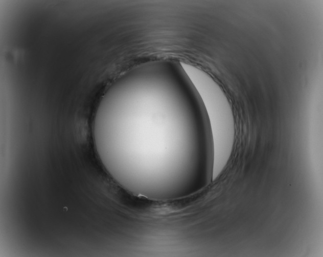 X0000089360704200706150823