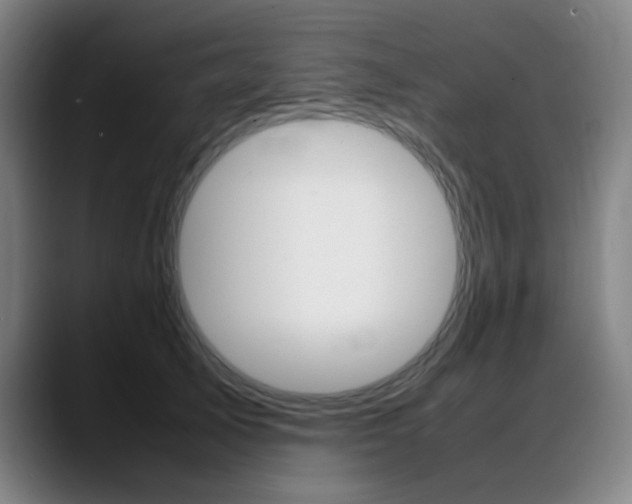 X0000089360705200706150823