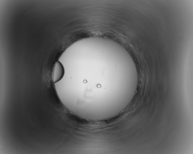 X0000089360707200706150823