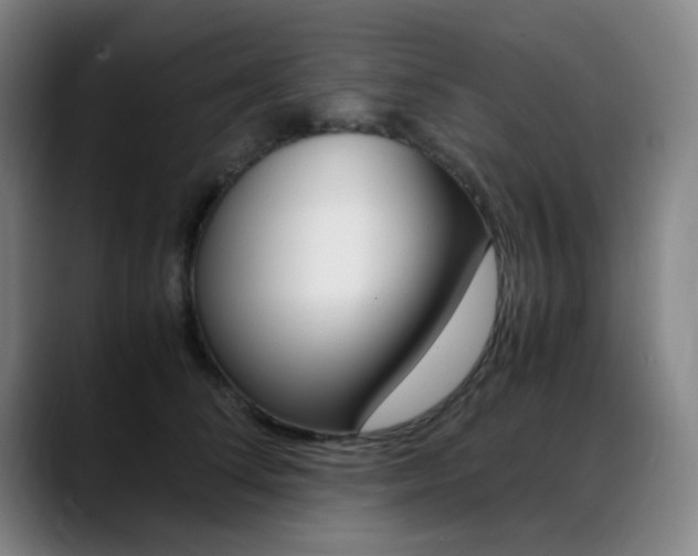 X0000089360708200706150823