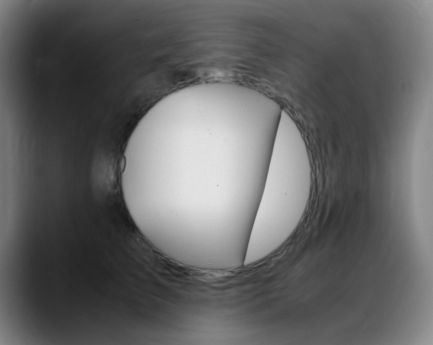 X0000089360709200706150823