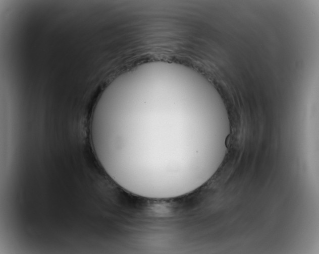 X0000089360710200706150823