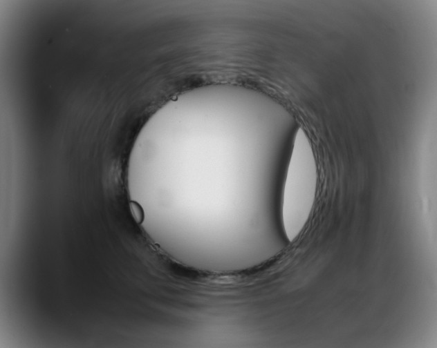 X0000089360711200706150823