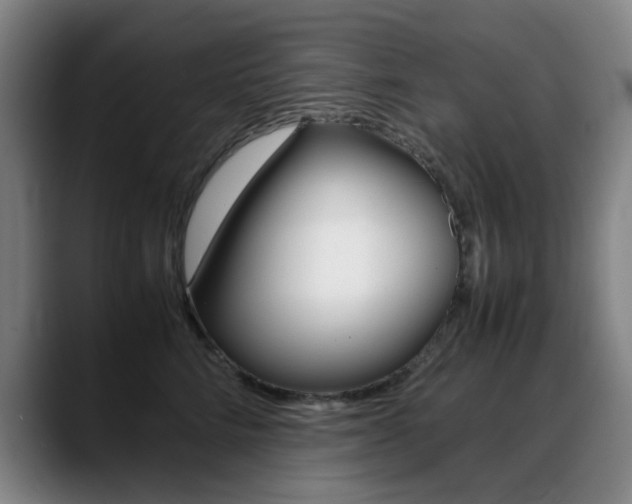 X0000089360712200706150823