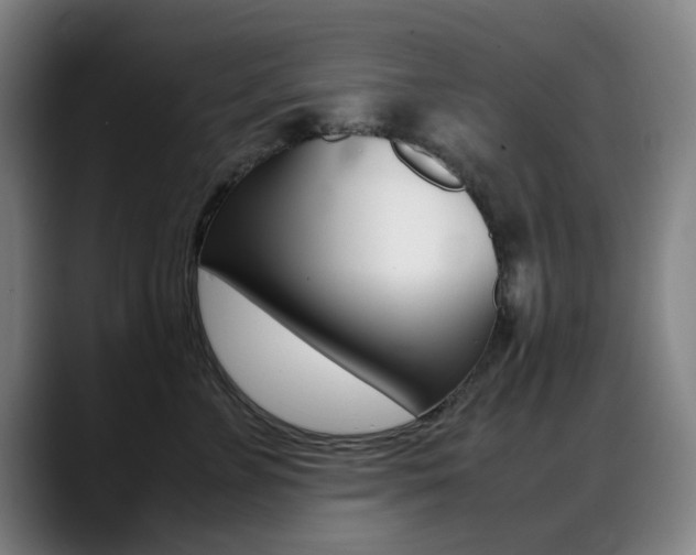 X0000089360715200706150823