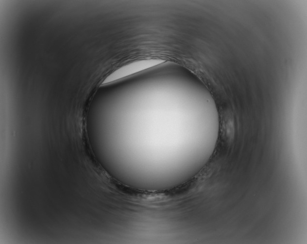 X0000089360716200706150823