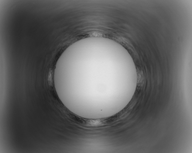 X0000089360717200706150823