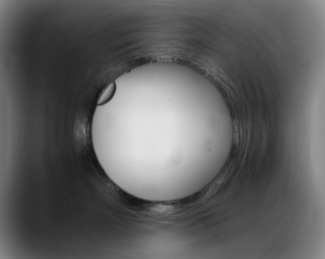 X0000089360718200706150823
