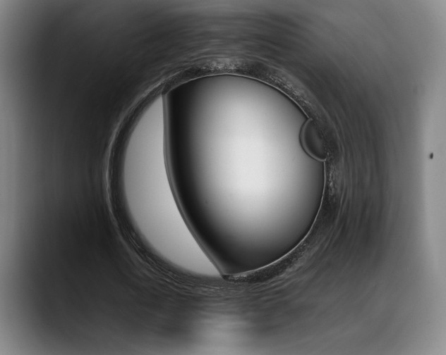 X0000089360722200706150822
