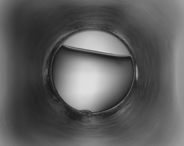 X0000089360723200706150822