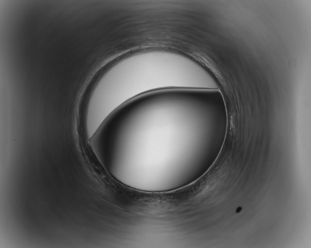 X0000089360724200706150822
